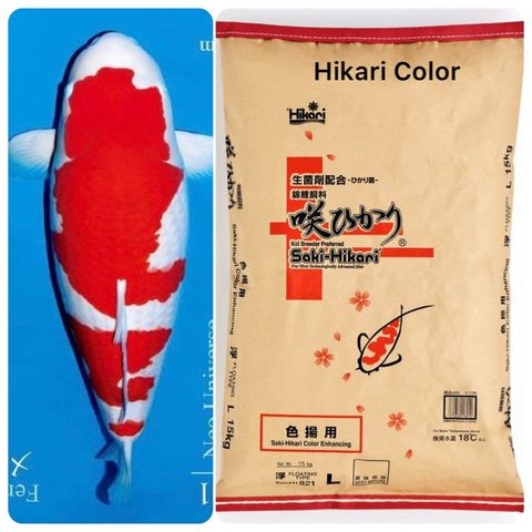 15KG-Color-Saki Hikari (Thức ăn Nhật Bản)