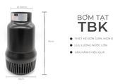 Bơm luồng TBK-36000