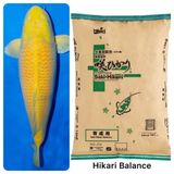 15KG-Balance-Saki Hikari (Thức ăn Nhật Bản)