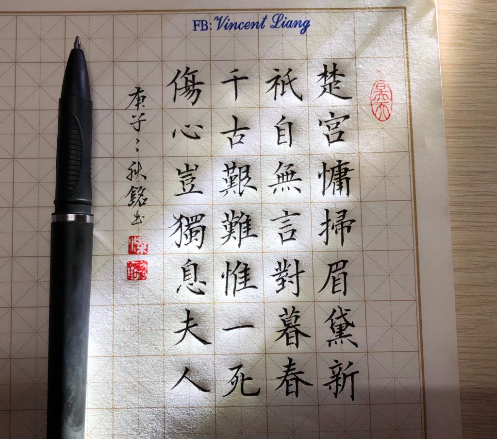 Bút Gel luyện chữ Hán, luyện thư pháp bút cứng ODEMEI