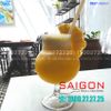 Ly Thủy Tinh Pasabahce Allegra Craft Beer 485ml | Pasabahce 440327, Nhập Khẩu Thổ Nhĩ Kỳ