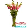 Bình Hoa Thủy Tinh Libbey Floral Cylinder 9'' | Libbey 888 , Nhập Khẩu USA