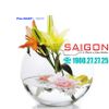 Chậu Hoa Thủy Tinh Tròn Pasabahce Botanica Cao 12cm | Pasabahce 43427 , Nhập Khẩu Thổ Nhĩ Kỳ