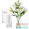 Bình Hoa Thủy Tinh Libbey Cylinder Vase 10.5'' | Libbey 889 , Nhập Khẩu USA