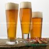 Ly Thủy Tinh Libbey Beer Specials Footed Pilsener 300ml | Libbey 827392 , Nhập Khẩu E.U