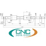 Vitme bi SFU ren trái đảo chiều