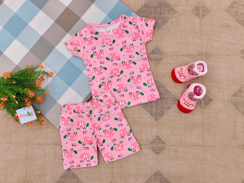 5-6kgĐồ Bộ Borip Carter's BaBy Girl - Hồng/Con Rùa