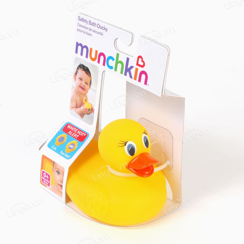 Vịt vàng báo nóng Munchkin