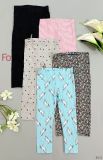  [3m-6m] Set 5 Quần Legging Bé Gái Cter - Random ngẫu nhiên 