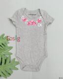  [3m-6m] Bodysuit Tay Ngắn Bé Gái CK - Xám Hoa Hồng 