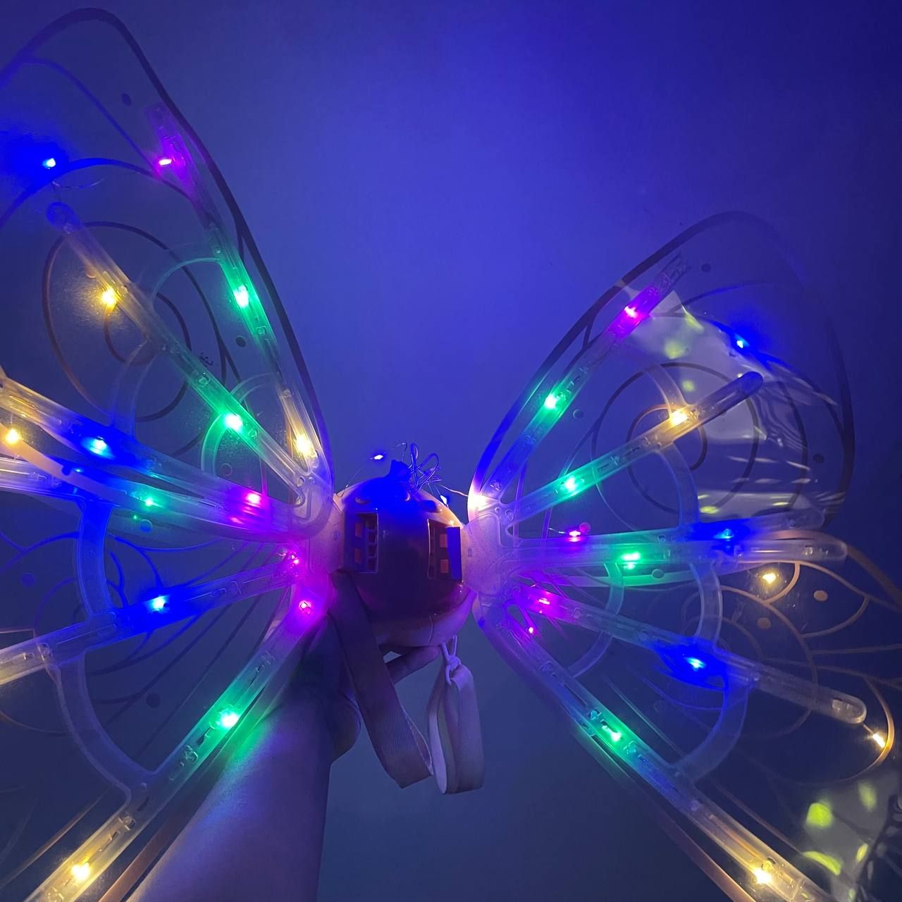 Cánh Bướm Thiên Thần Đèn, Nhạc Cho BÉ - Cánh Bướm