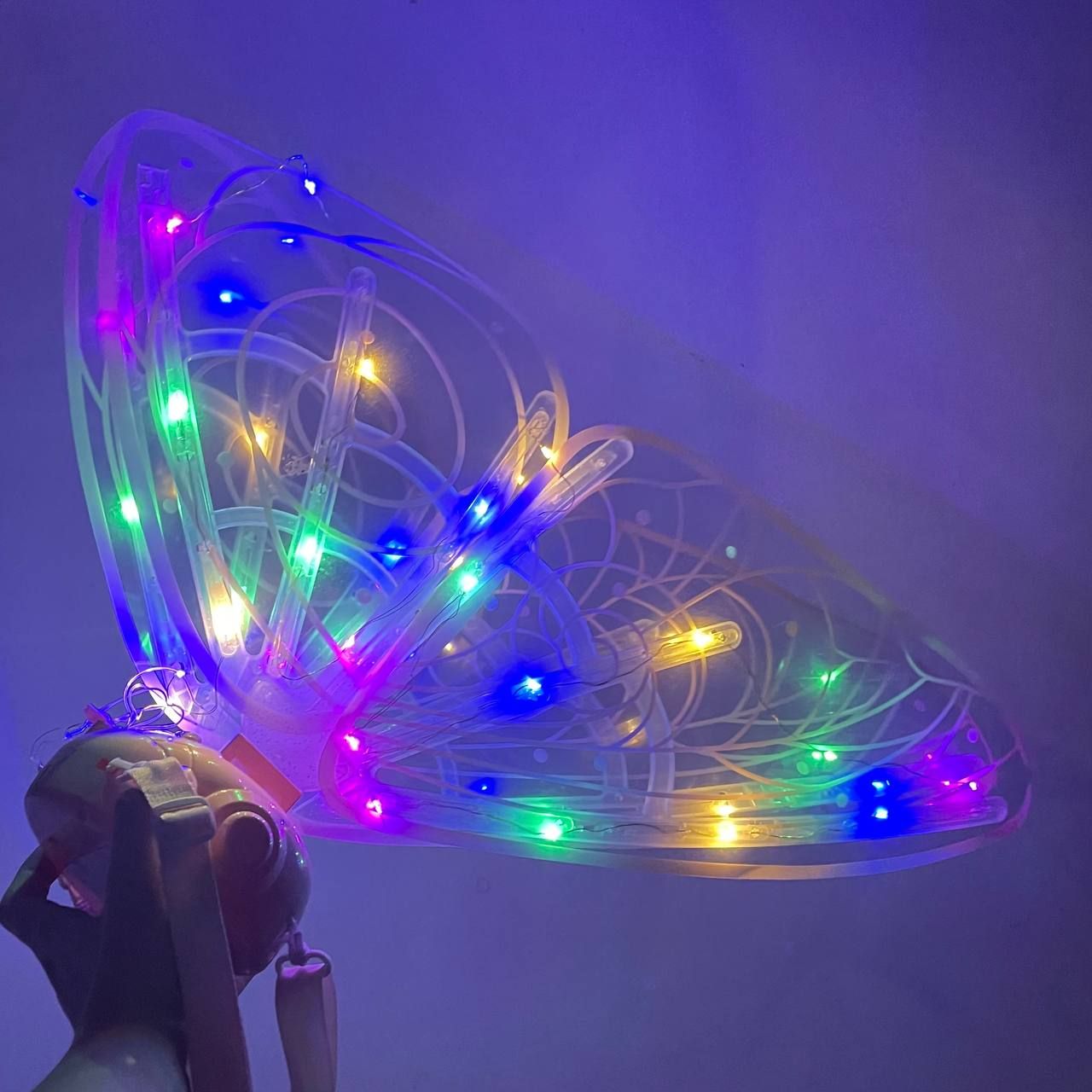 Cánh Bướm Thiên Thần Đèn, Nhạc Cho BÉ - Cánh Bướm