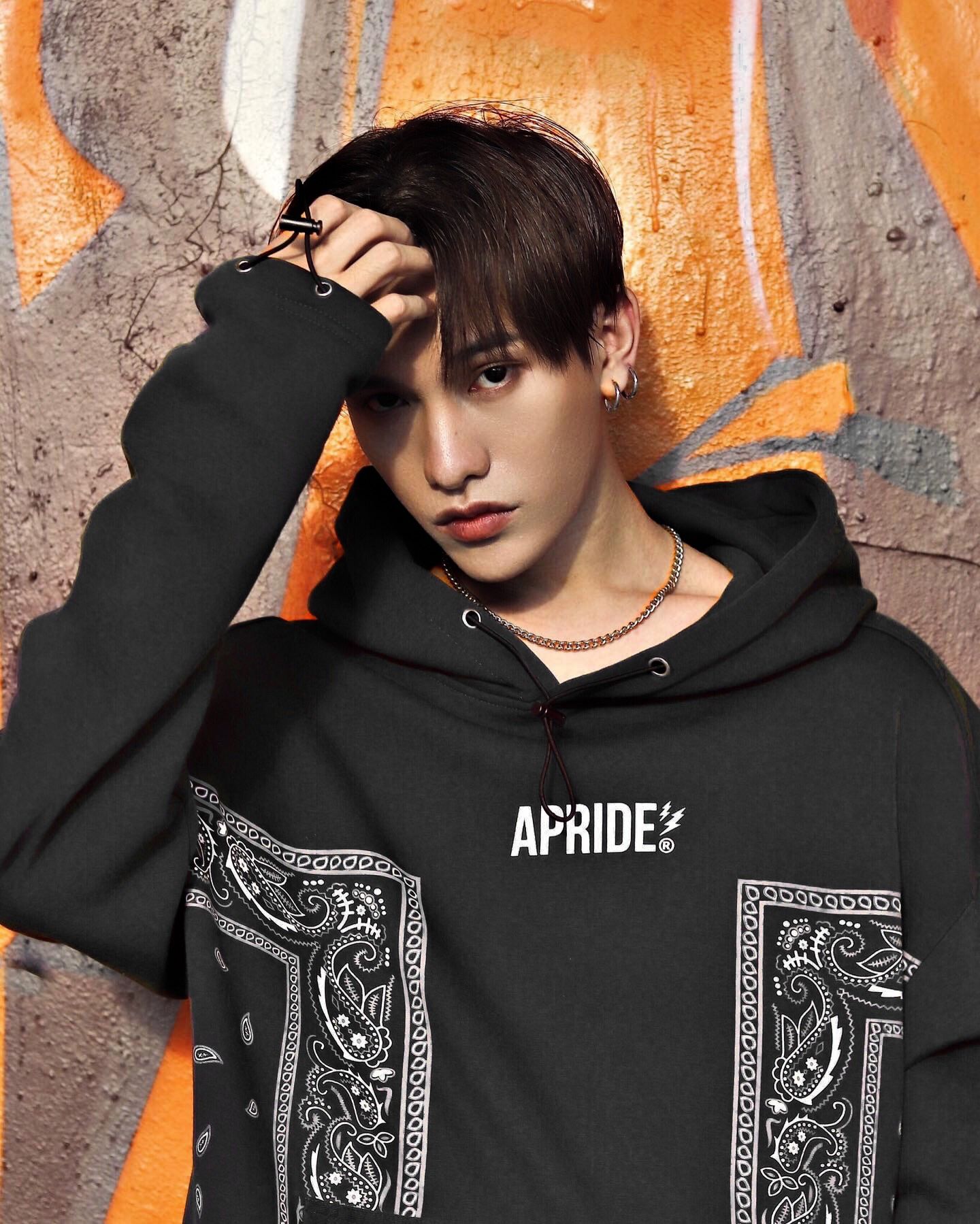 Apride Hoodies Bandana
