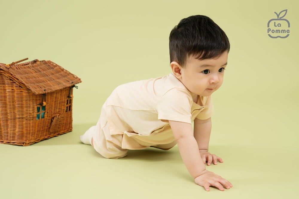 Bộ cộc tay La Pomme Gấu nâu ấn tượng