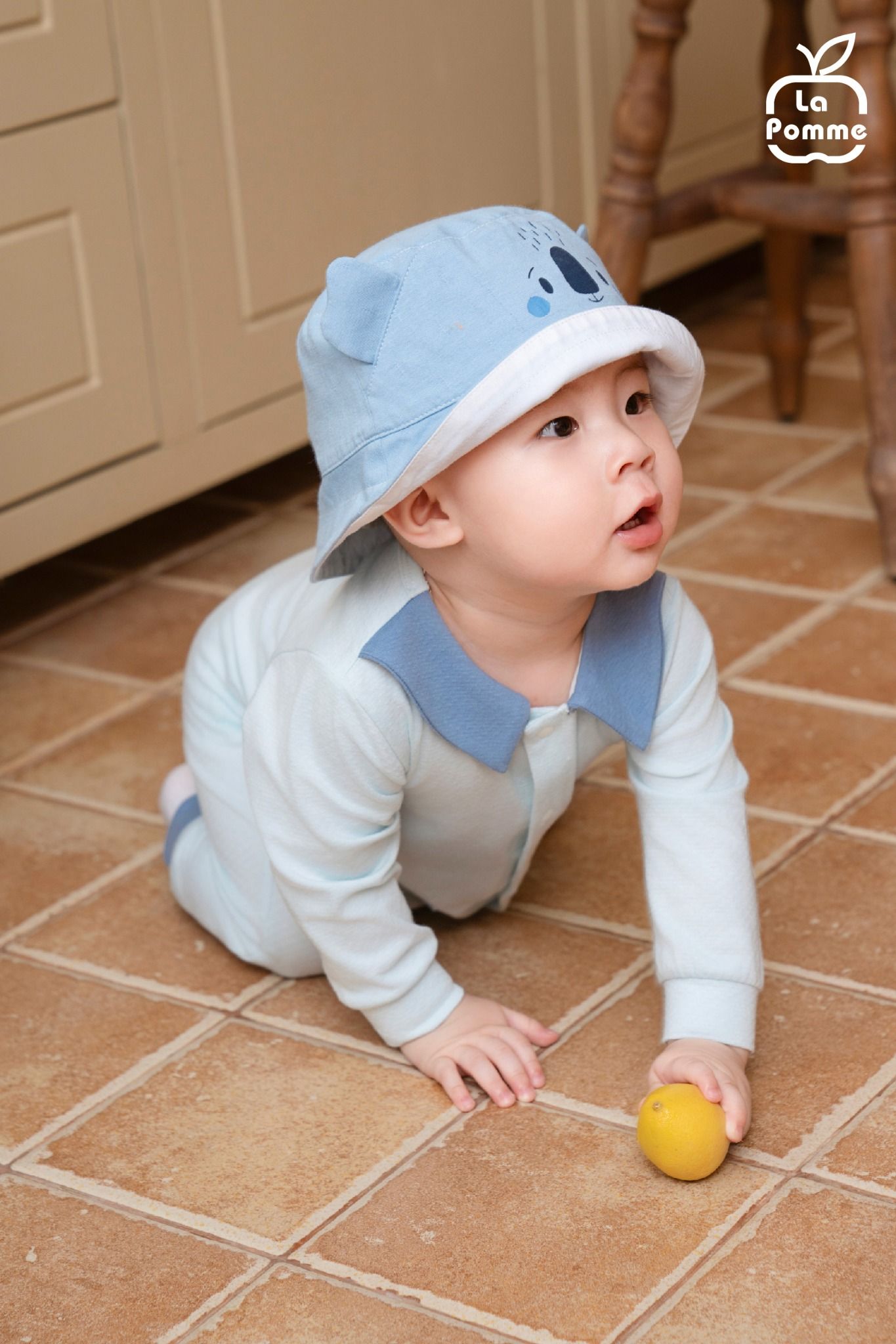 Mũ vành La Pomme tai động vật ngộ nghĩnh