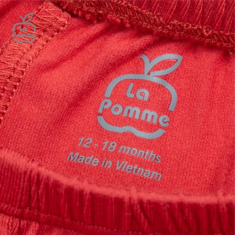 Bộ cộc tay La Pomme Teddy Bear - Vàng