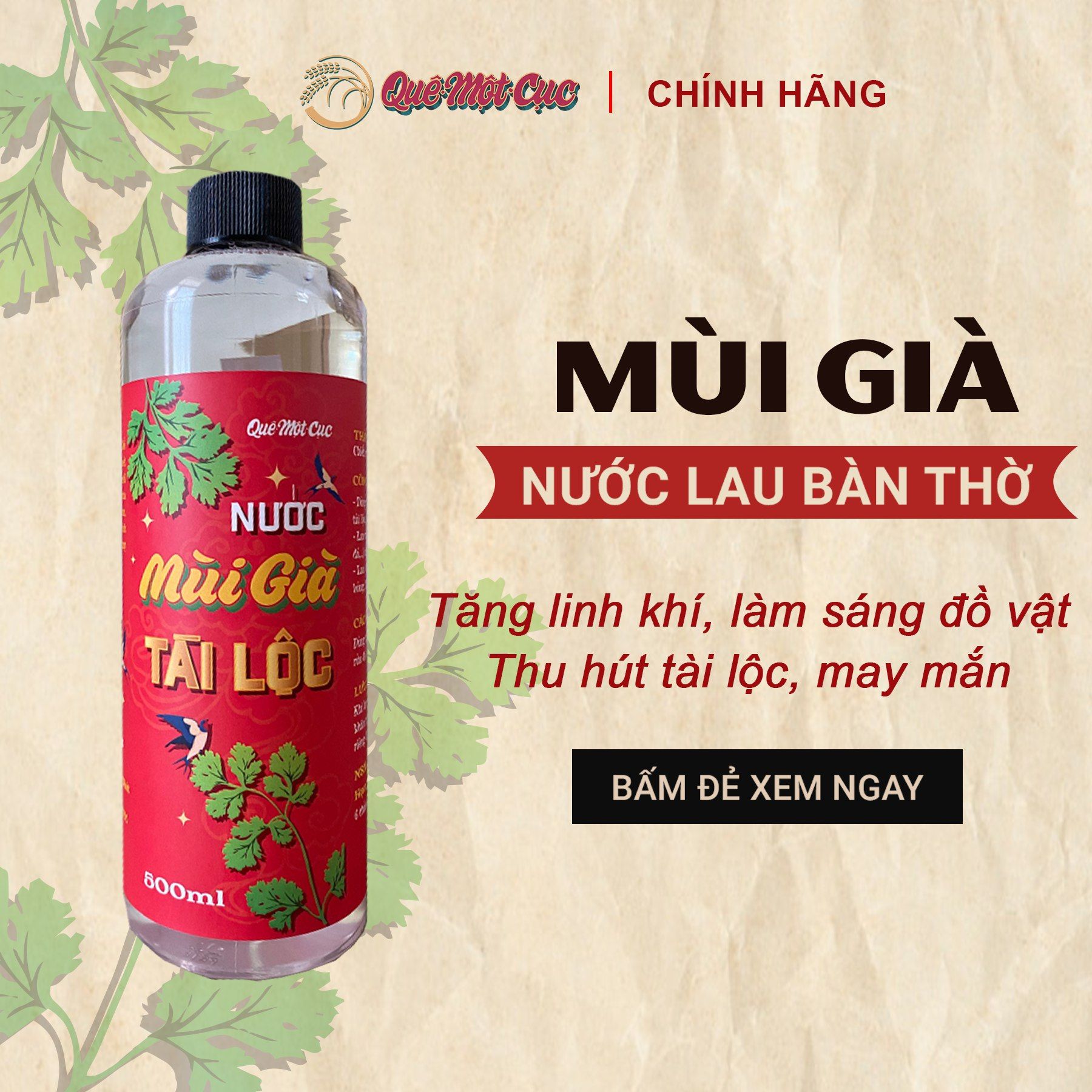  NƯỚC MÙI GIÀ NGUYÊN CHẤT - TĂNG VƯỢNG KHÍ, HÚT TÀI LỘC CHO GIA CHỦ 