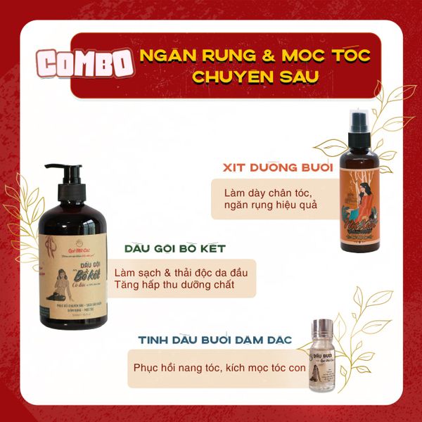  COMBO DẦU GỘI TRỊ GÀU VÀ RỤNG TÓC - THƯƠNG HIỆU QUÊ MỘT CỤC 