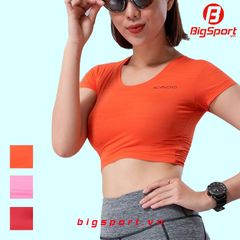 Áo tập gym nữ Icado Croptop AT1 chính hãng