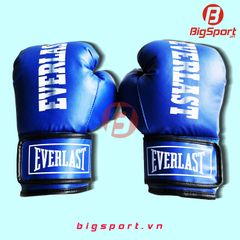 Găng Boxing size lớn màu xanh