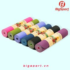 Thảm tập Yoga TPE Friendly 8mm 2 lớp