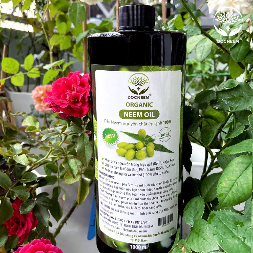 Dầu Neem nguyên chất ép lạnh (1L) - thương hiệu Docneem