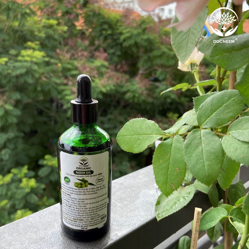Dầu Neem nguyên chất ép lạnh (100ml) - thương hiệu Docneem