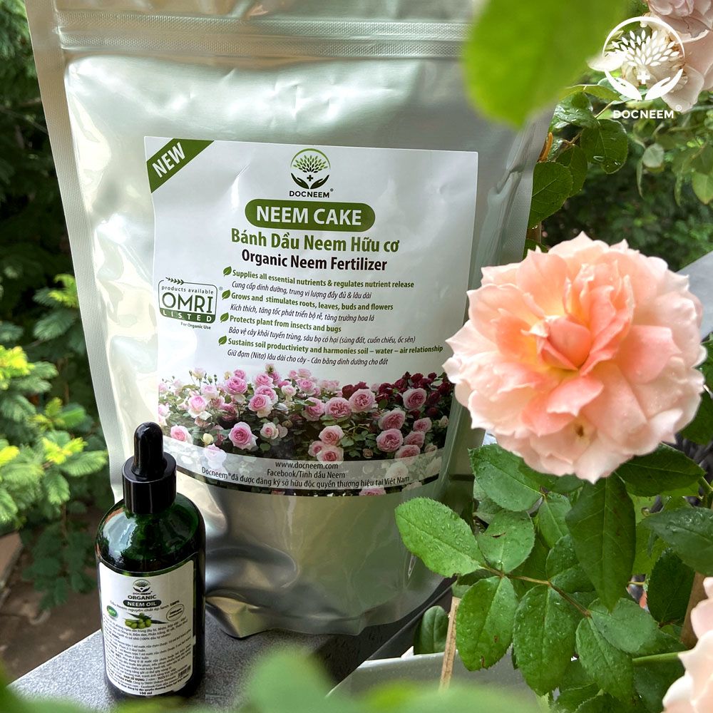 Bộ đôi sản phẩm Dầu neem (100ml) & Neem cake (1kg)