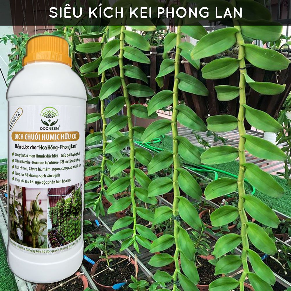 Phân bón dịch chuối Humic (1 Lít) - thương hiệu Docneem