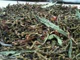 Trà Hồng Sâm, Sơn Mật là loại trà quý tốt cho sức khỏe