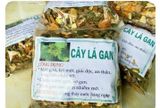 Cây lá gan rừng – cây thuốc quý chữa bệnh về gan