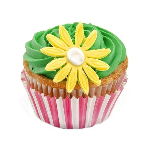  Children's Cup Cake 