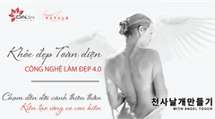 CÔNG NGHỆ GIẢM BÉO - KIẾN TẠO VÒNG EO CON KIẾN