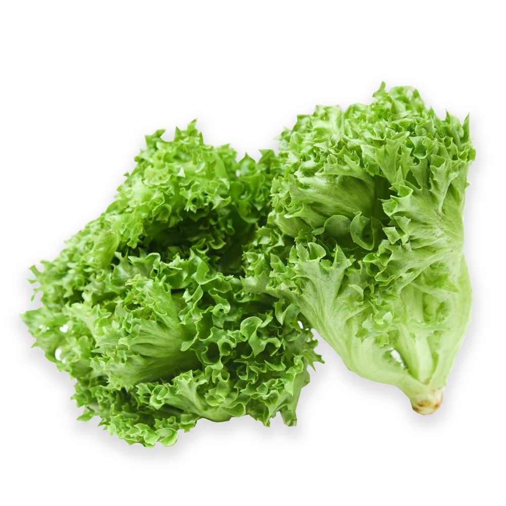 Lettuce Salanova Green 150G- 