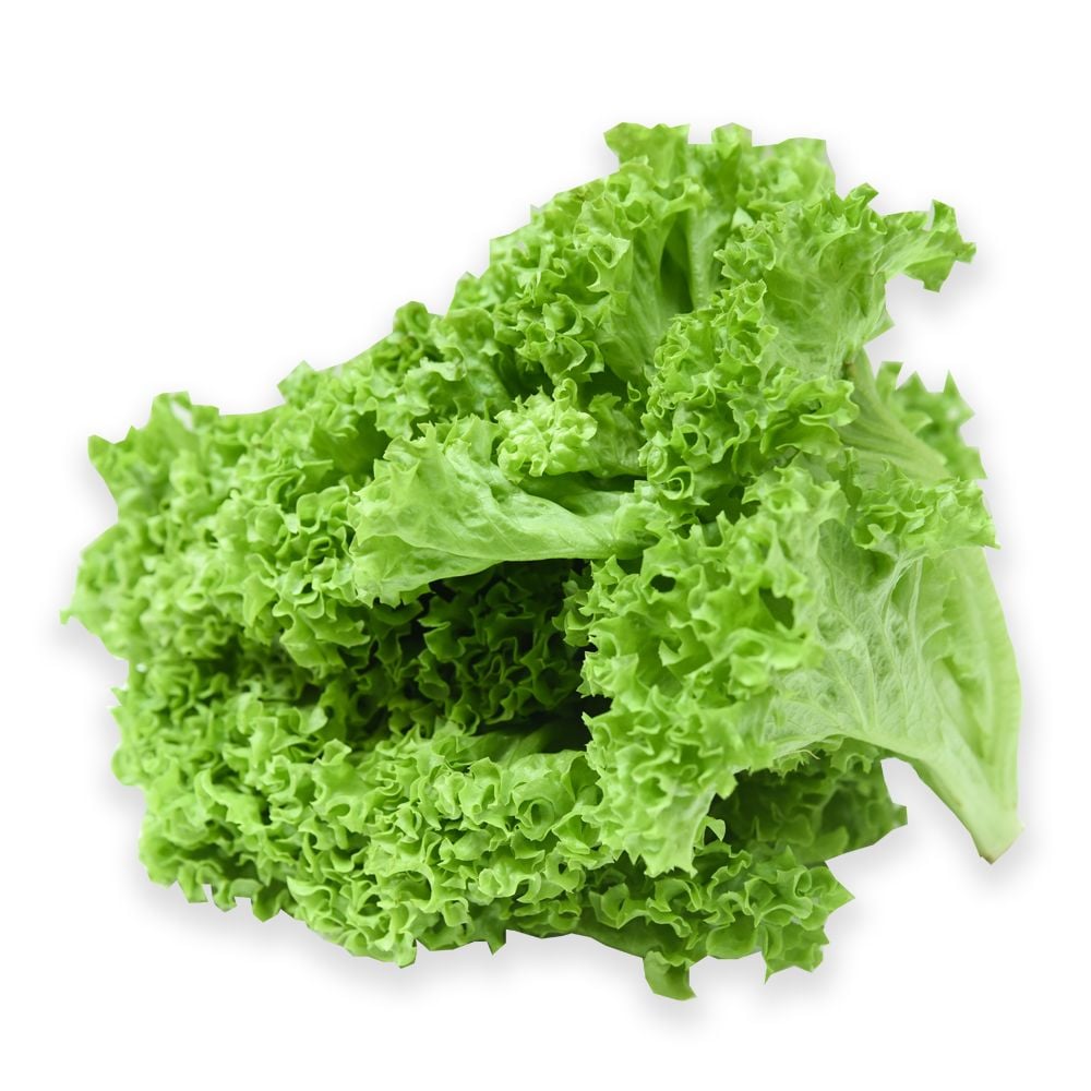 Lettuce Green Lollo 250G
