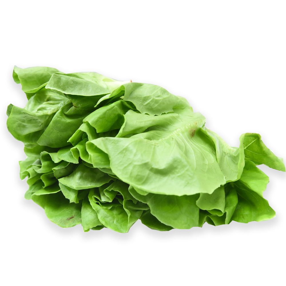 Lettuce Org Green Butterhead 250G-