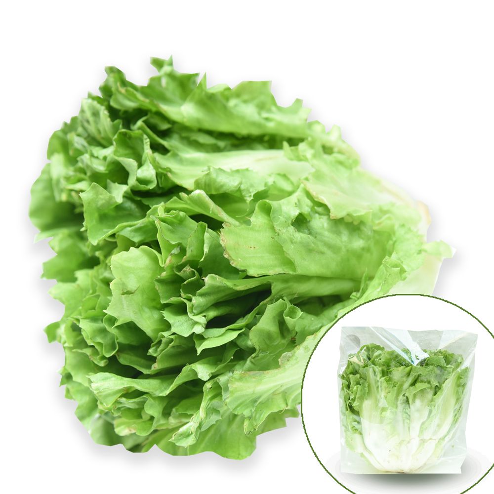 Lettuce Carol 250G- 