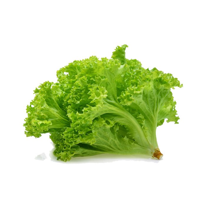 Lettuce Lollo Green Hydroponic 250G