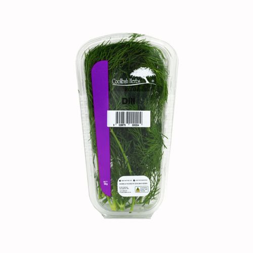 Australian Dill 18G- 