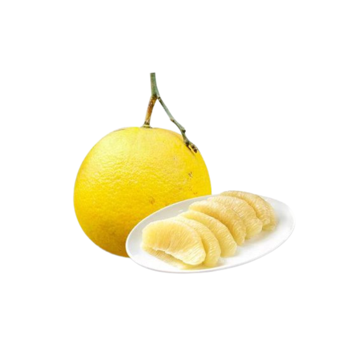 Dien Polemo 600G+-