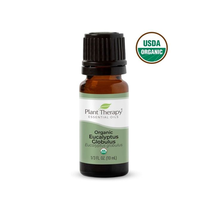 Org Essential Oil Eucalyptus Globulus Plant Therapy 10Ml
