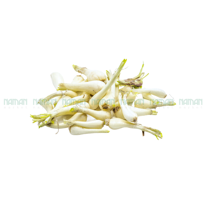 Fresh Small Leeks 500G-