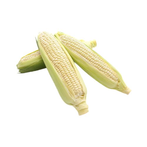 Org Corn 500G- ORG CORN 1KG