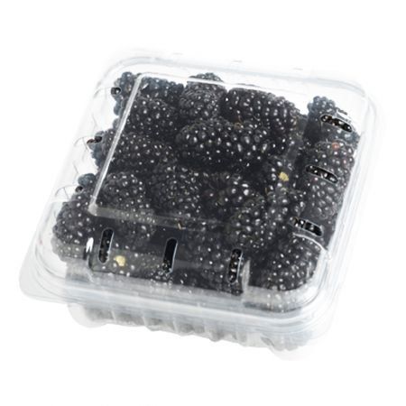 Blackberries 170G- Fresh Blackberry 170G