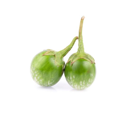 Cà Giống Thái 500G