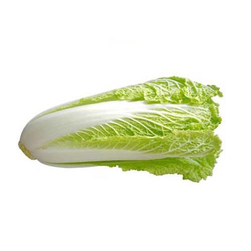Napa Cabbage 500G- chinese cabbage