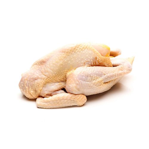 Gà Thảo Dược Nấm Linh Chi Nguyên Con Mr Fang 1.4Kg-1.8Kg