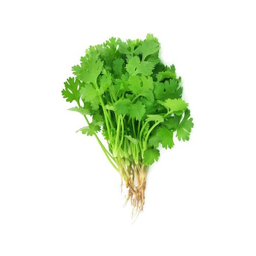 Coriander (Cilantro) Viet An 50G Nam An Market