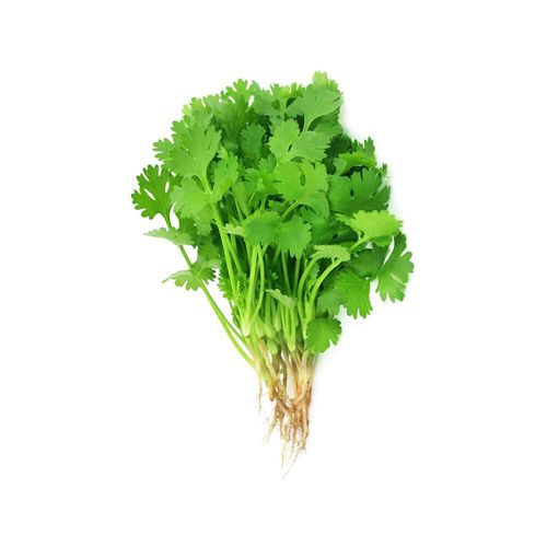 Coriander (Cilantro) Viet An 50G- 