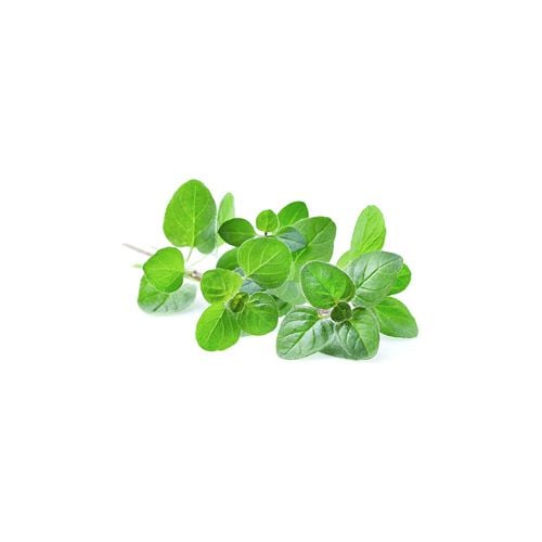 Lá Kinh Giới Tây 50G